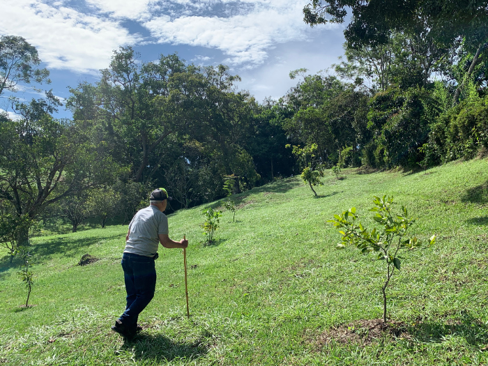 Árboles para la vida